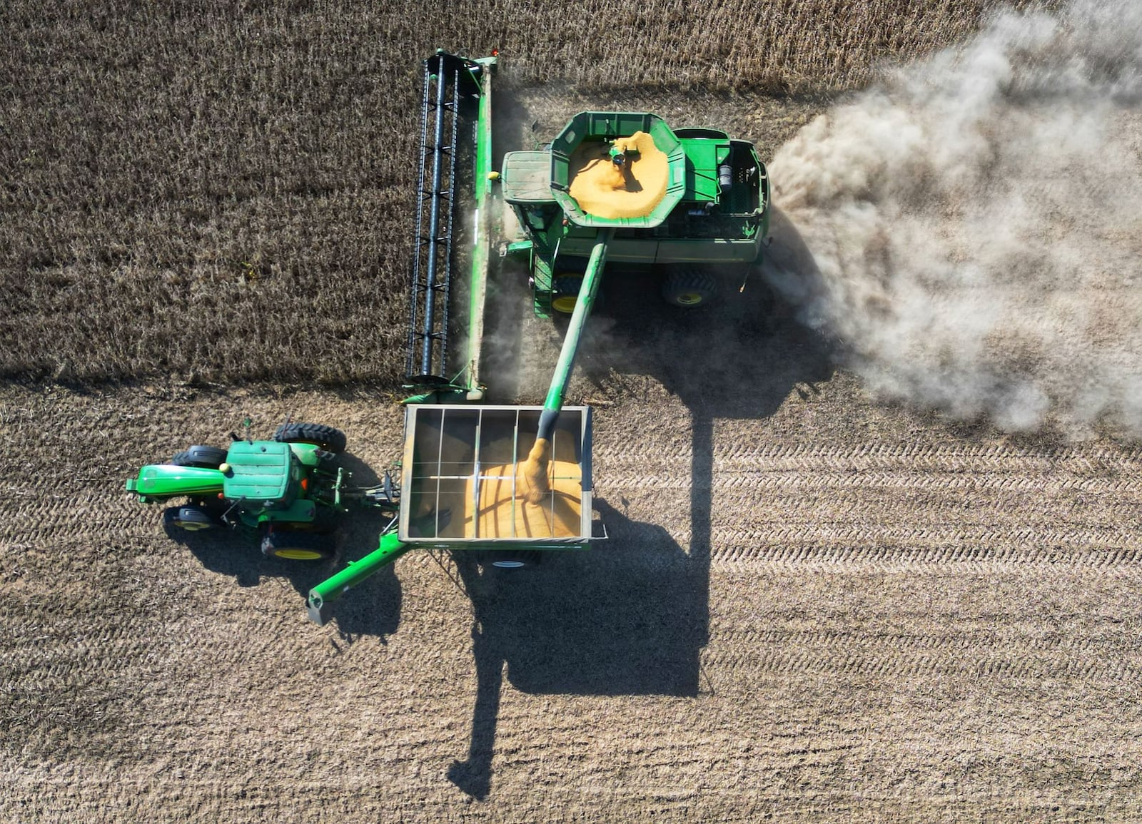 Gary Gerber and crew harvest soybeans in Wayne Township in Butler County on Sept. 29, 2025. China usually purchases 25-30% of the entire U.S. soybean crop but, due to tariffs, is now purchasing soybeans from South America. NICK GRAHAM / STAFF