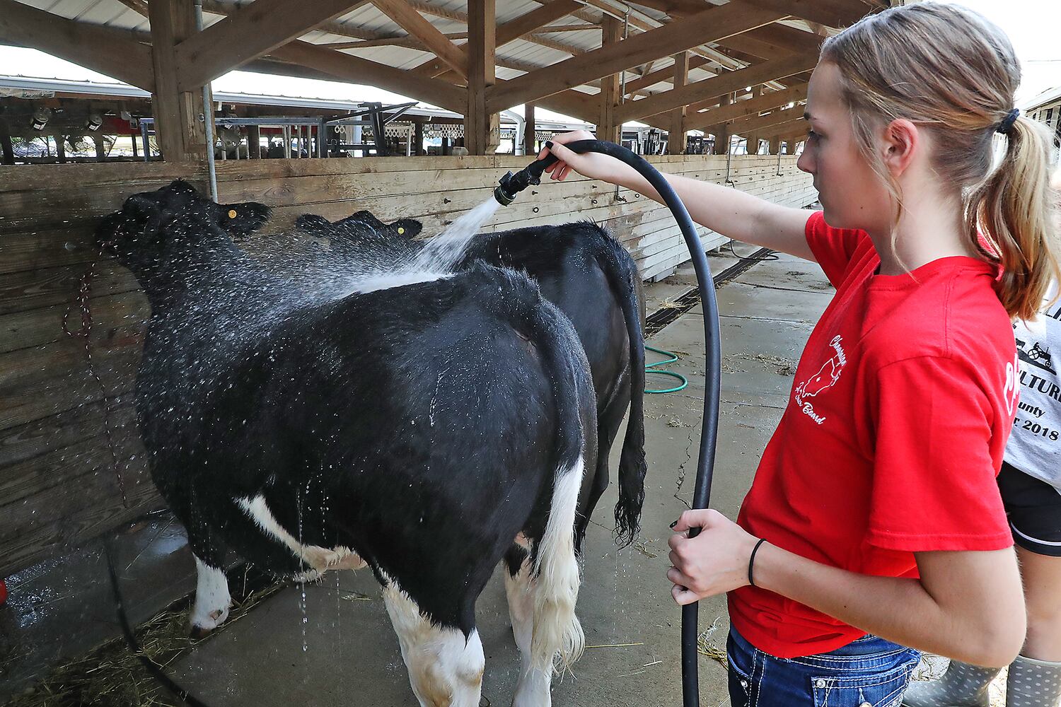 2018 Champaign County Fair - Monday