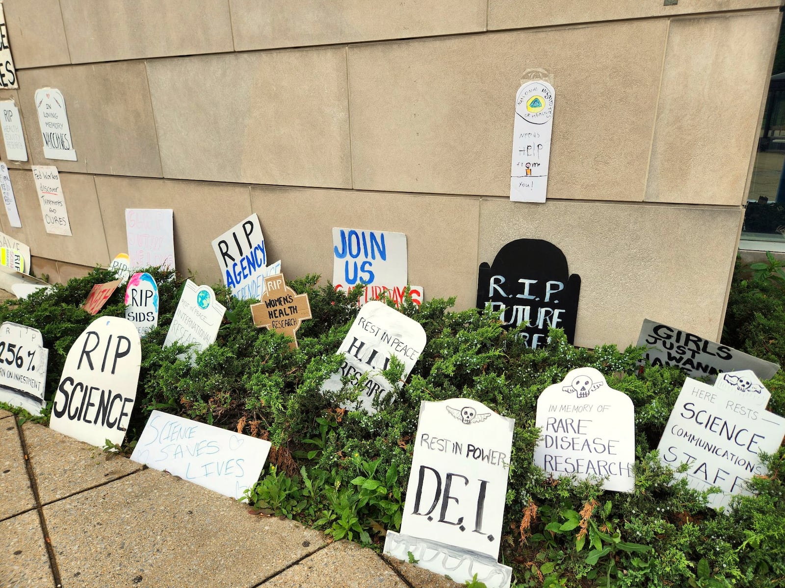 This photo obtained by The Associated Press shows cardboard tombstones symbolizing canceled research grants at the NIH Visitors Center in Bethesda, Md., Saturday, on June 7, 2025. (AP Photo)