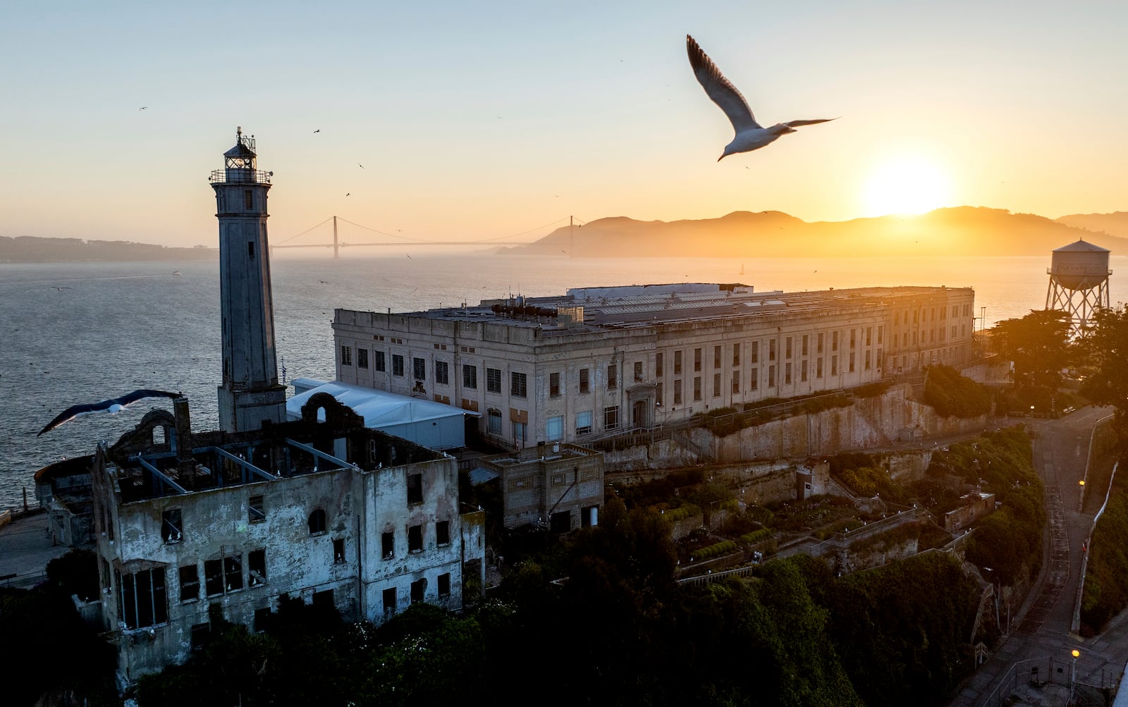 A bird flies above Alcatraz Island on Sunday, May 4, 2025, in the San Francisco Bay, Calif. (AP Photo/Noah Berger)