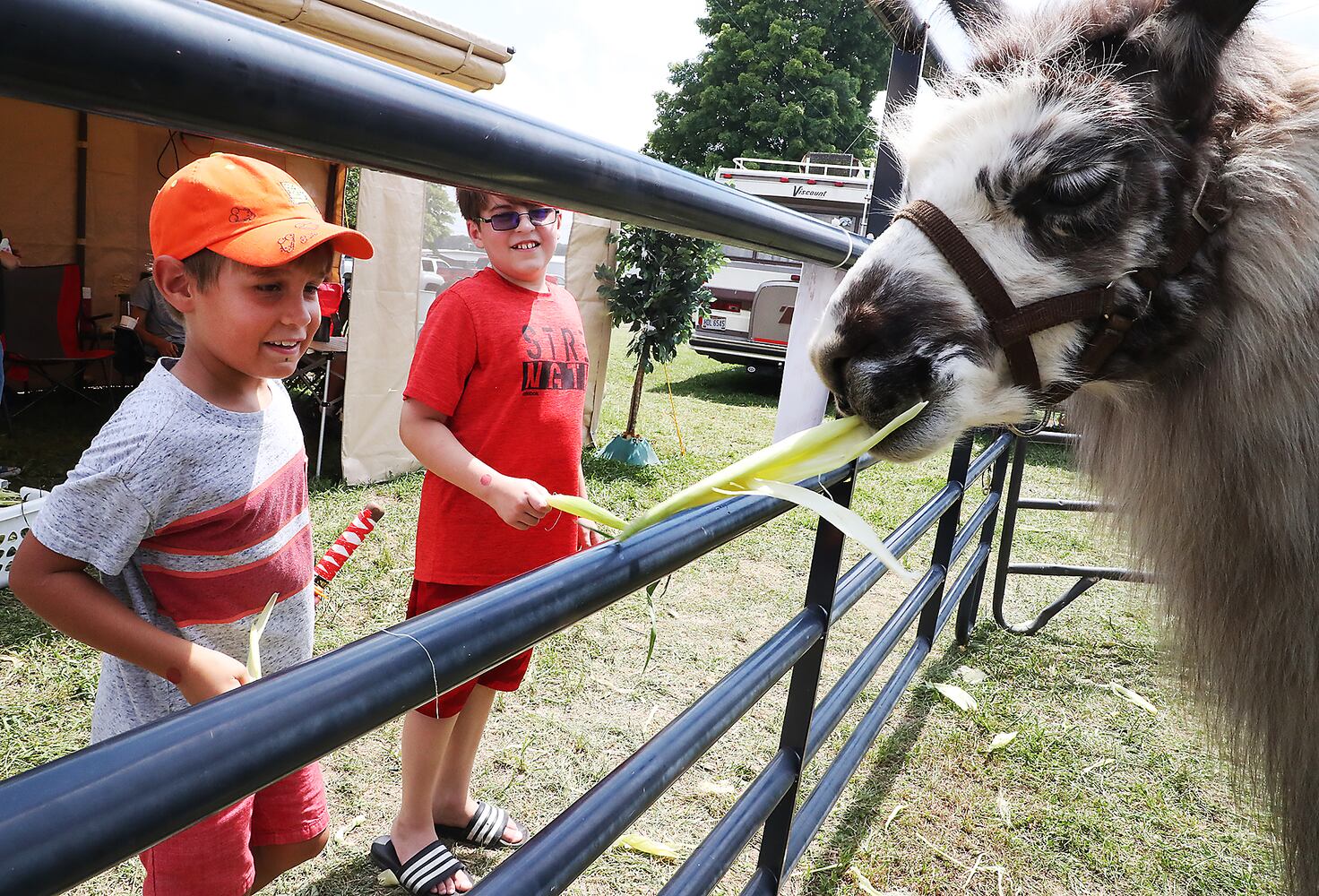 2018 Champaign County Fair - Monday