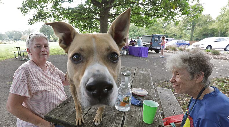 The Animal Welfare League of Clark County is having a special adoption event on Saturday. Here, Clyde, a rescue from the Animal Welfare League, enjoyed the National Trail Parks and Recreation's Yappy Hour with his owner Marilyn Corbin, right, and Mary Quinn a few years ago. FILE/BILL LACKEY/STAFF