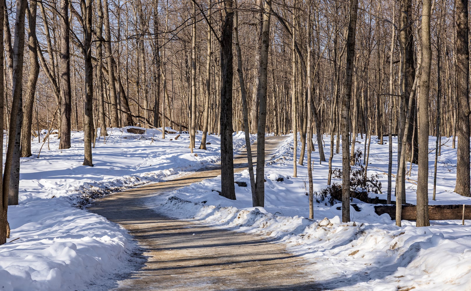 DDN 021026 Charleston Falls