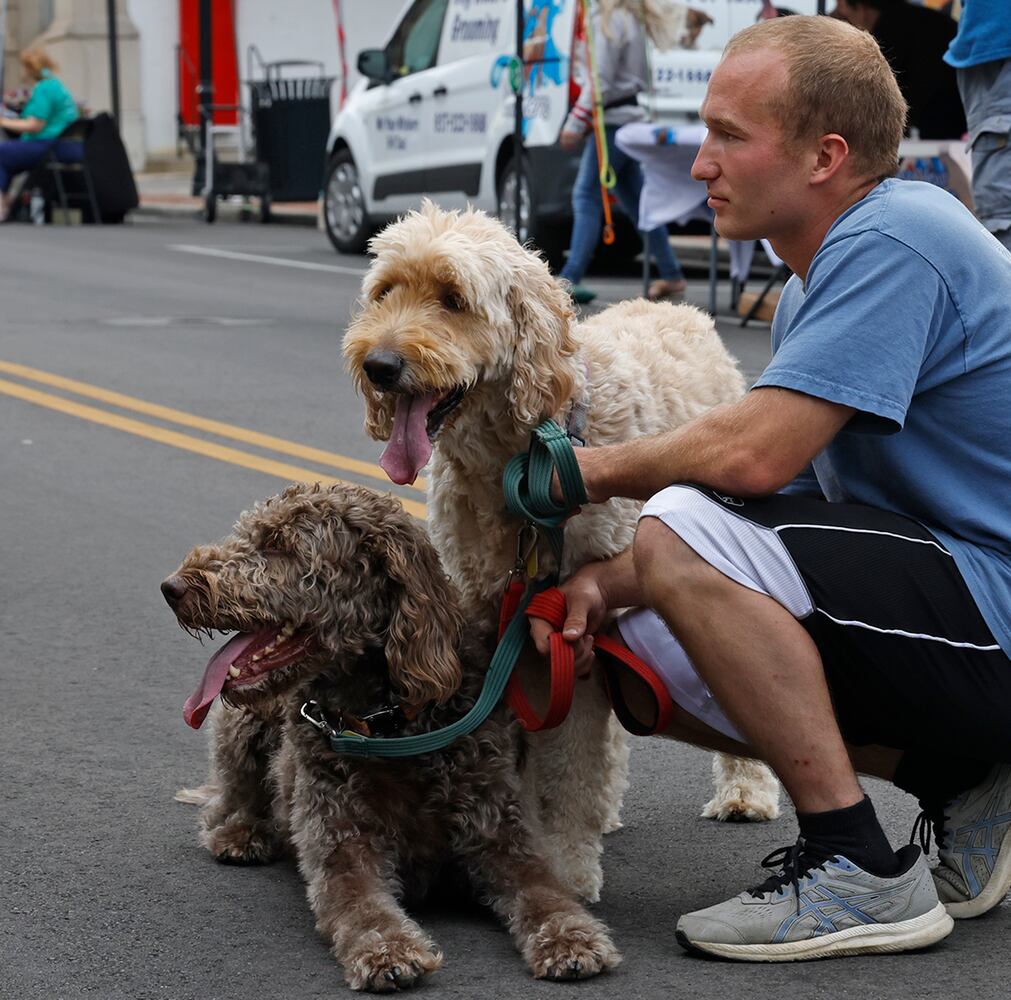 090624 Dog Days of Summer SNS