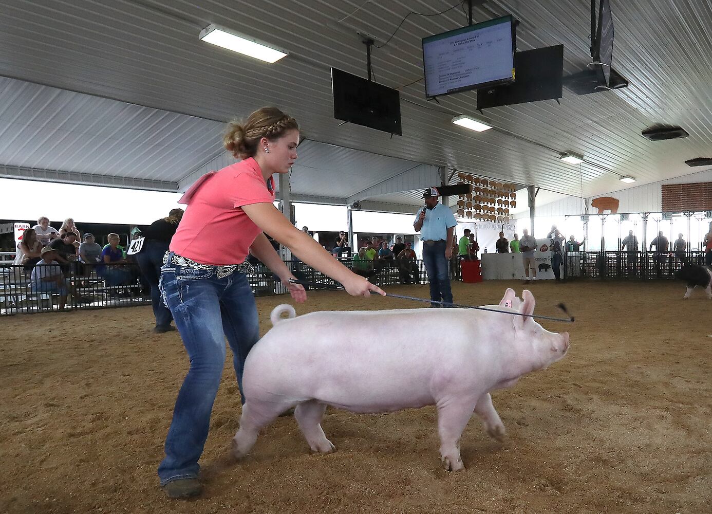 2018 Champaign County Fair - Monday