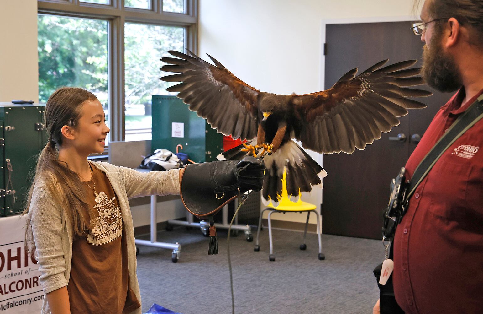 Library Falconry SNS