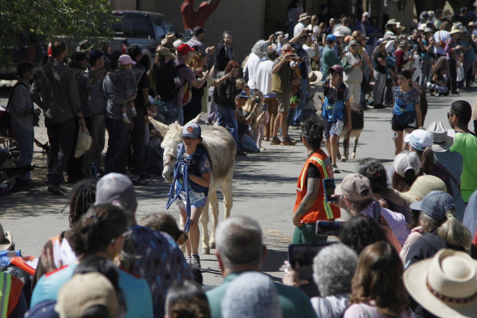 Pack burros and their human companions race through the streets of a former mining town and across backcountry desert trails in Cerrillos, N.M., on Saturday, May 3, 2025. (AP Photo/Morgan Lee)