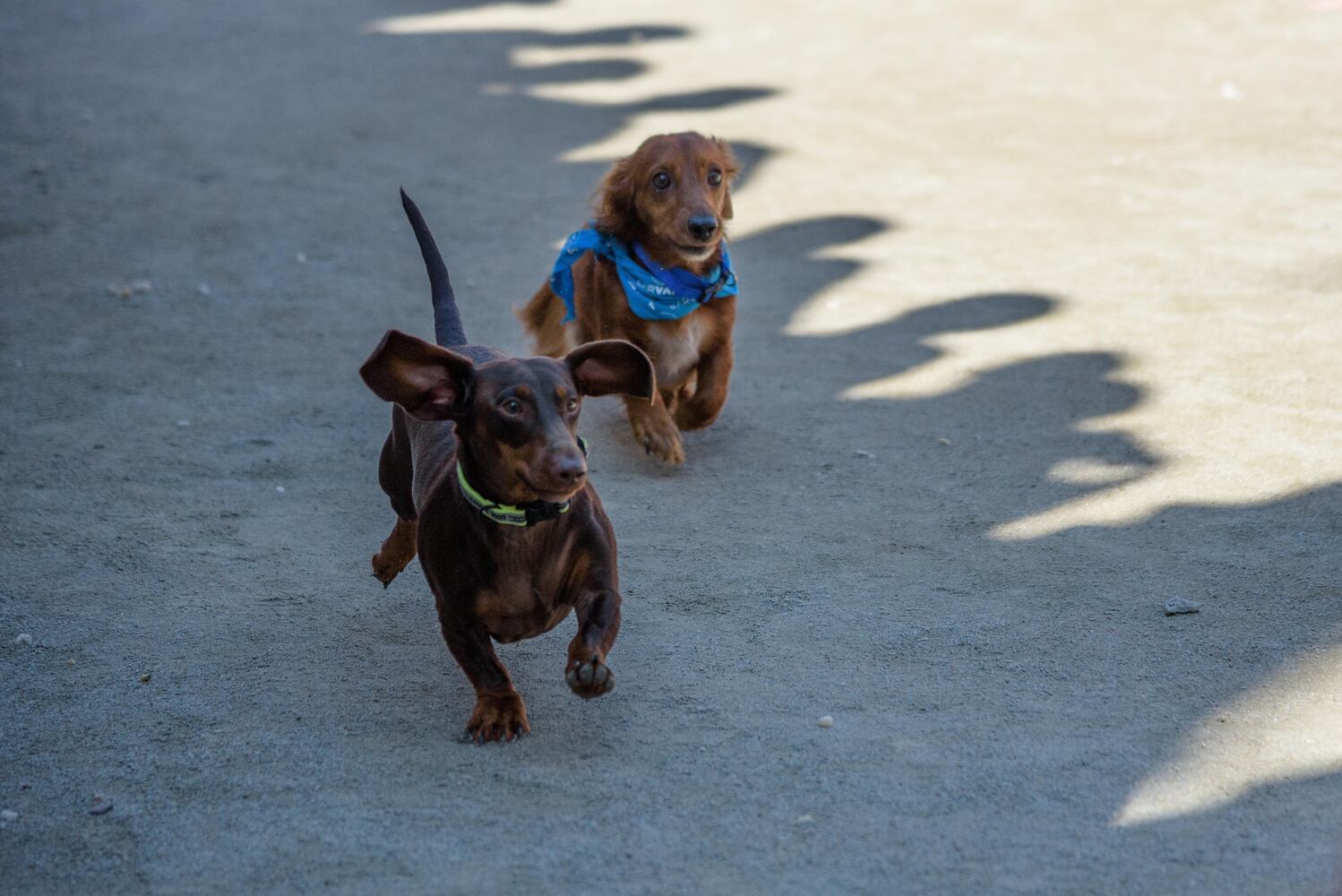 PHOTOS: Did we spot you keeping the Oktoberfest celebrations going this weekend?