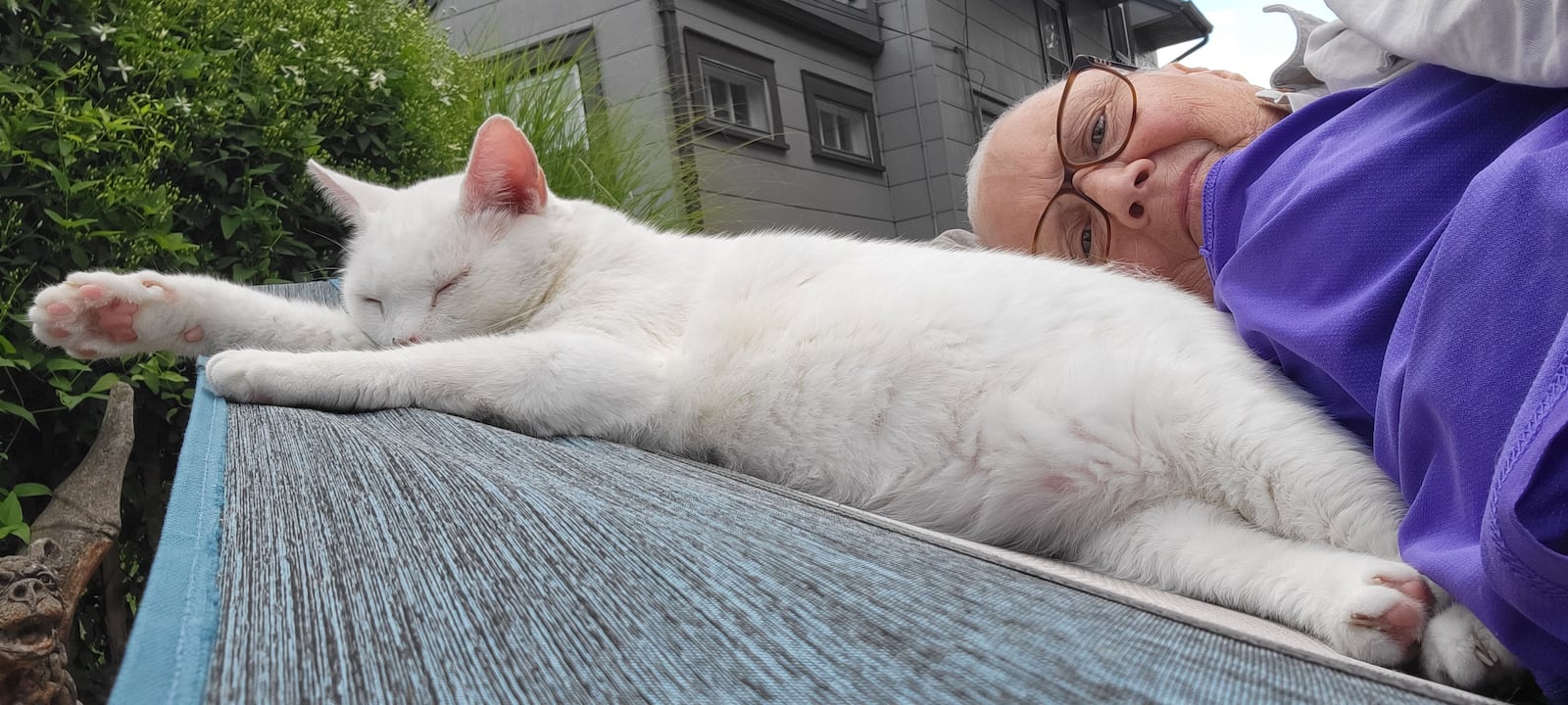 Her cat and personal assistant, Shadowfax, added a bit of mystery to Zimmer’s unexpected journey. Named for the white horse Gandalf rides in Lord of the Rings, he always came to her side after chemotherapy, as a good Hobbit cat would. (CONTRIBUTED)