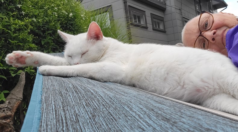 Her cat and personal assistant, Shadowfax, added a bit of mystery to Zimmer’s unexpected journey. Named for the white horse Gandalf rides in Lord of the Rings, he always came to her side after chemotherapy, as a good Hobbit cat would. (CONTRIBUTED)