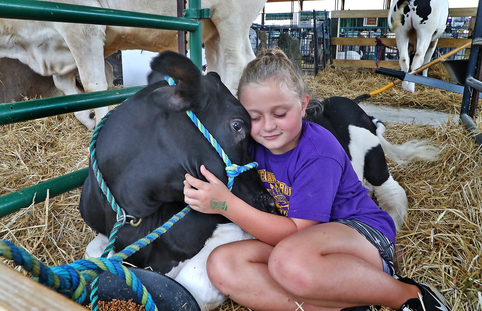 Champaign Fair SNS