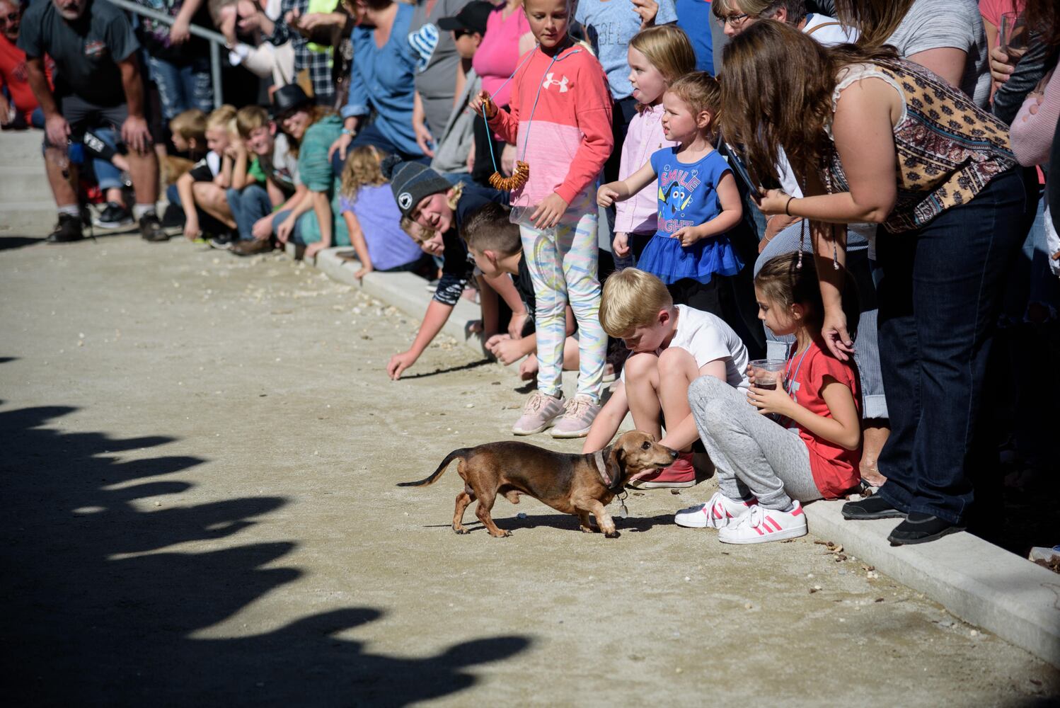 PHOTOS: Did we spot you keeping the Oktoberfest celebrations going this weekend?