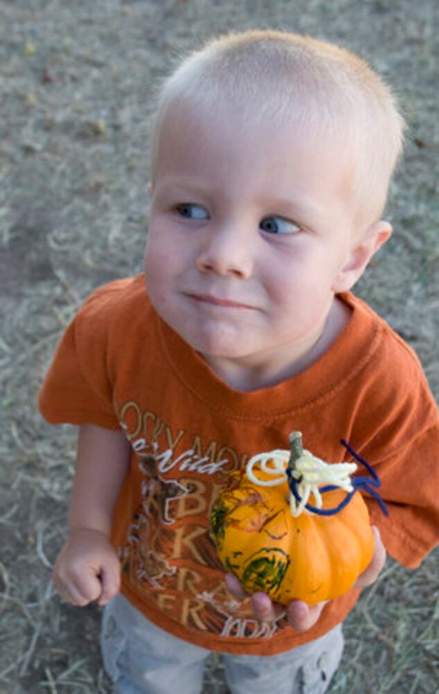 Elgin pumpkin patch, 10.23.10