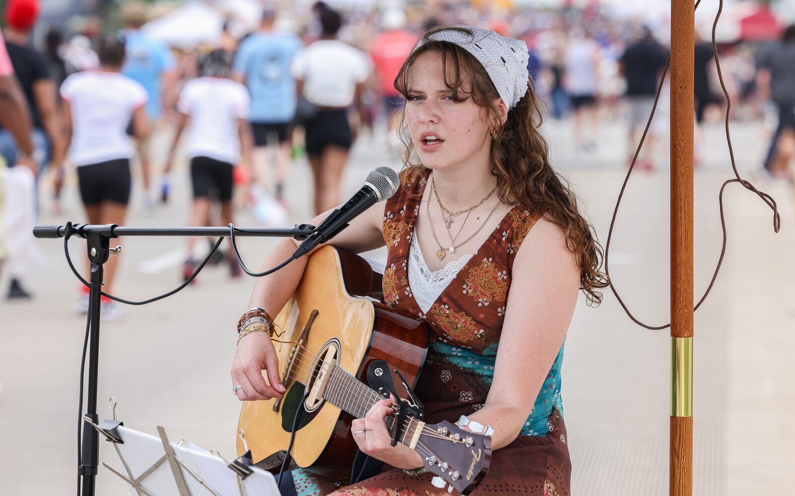 Troy Strawberry Festival 2025 061725 DDN