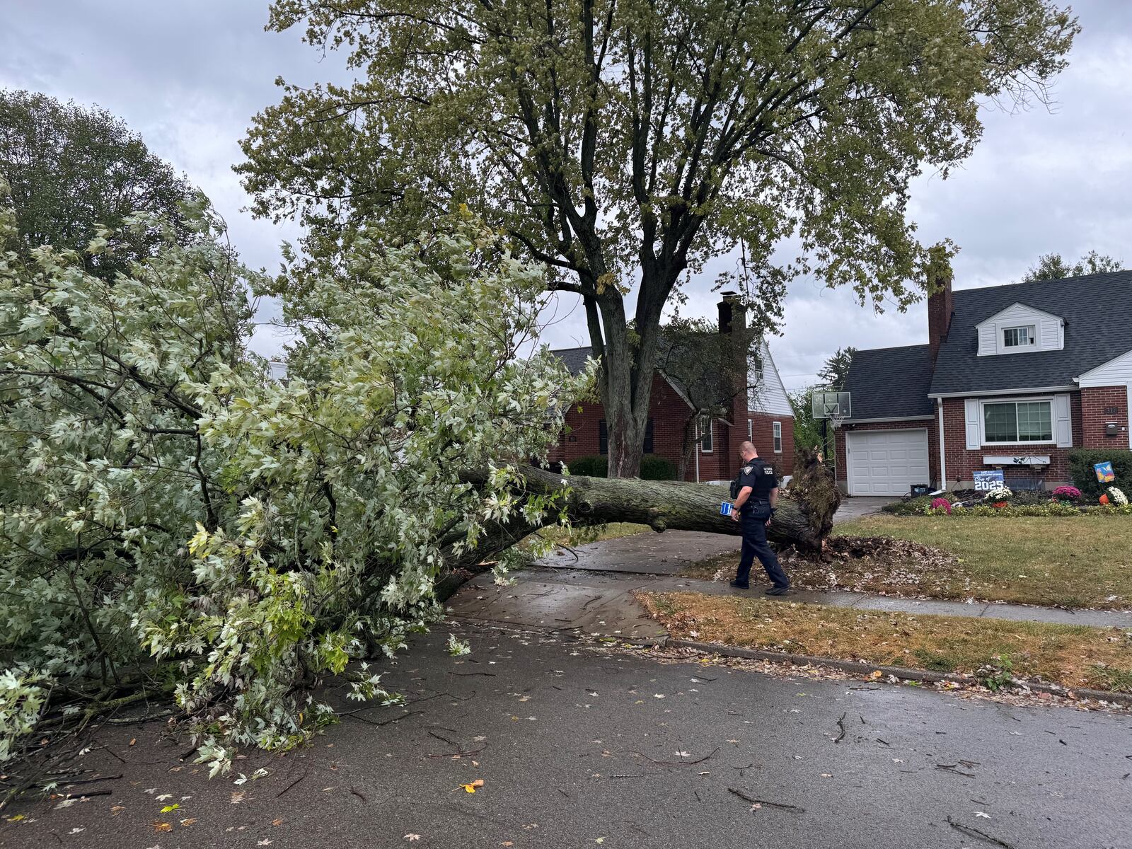 Strong winds from Hurricane Helene knocked down a tree in the 300 block of Lewiston in Kettering just after 2 p.m. Friday, Sept. 27, 2024. Photo courtesy Mark Fisher.