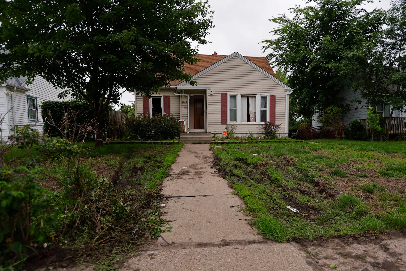 Tire marks from police vehicles mark the lawn of suspect Vance Luther Boelter's home in Minneapolis on Saturday, June 14, 2025. (AP Photo/Bruce Kluckhohn)