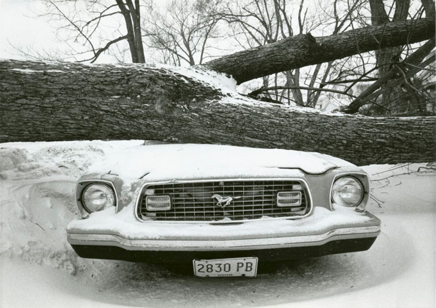 1978 blizzard