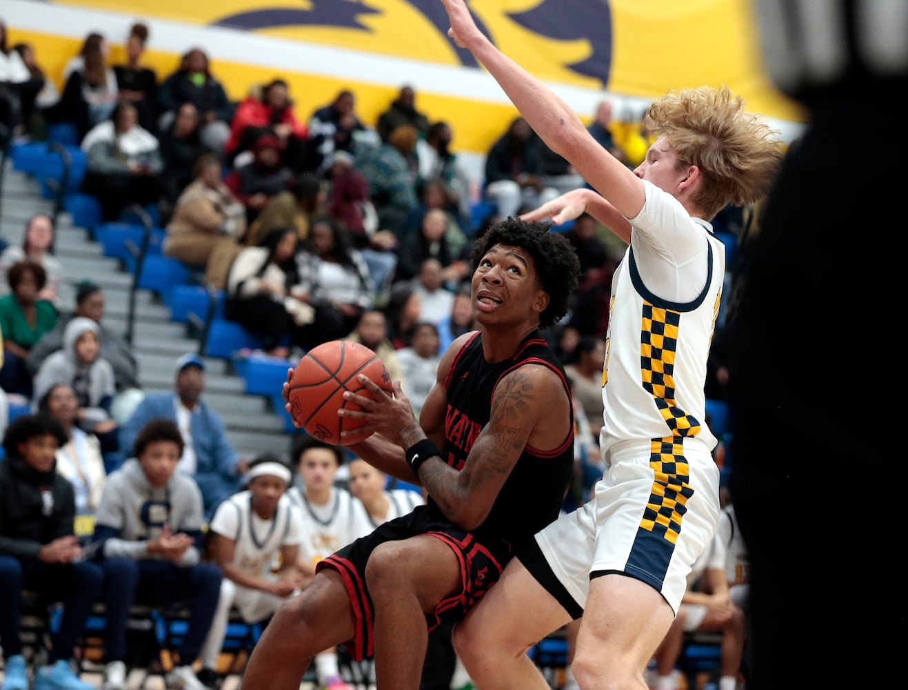 Wayne Springfield basketball