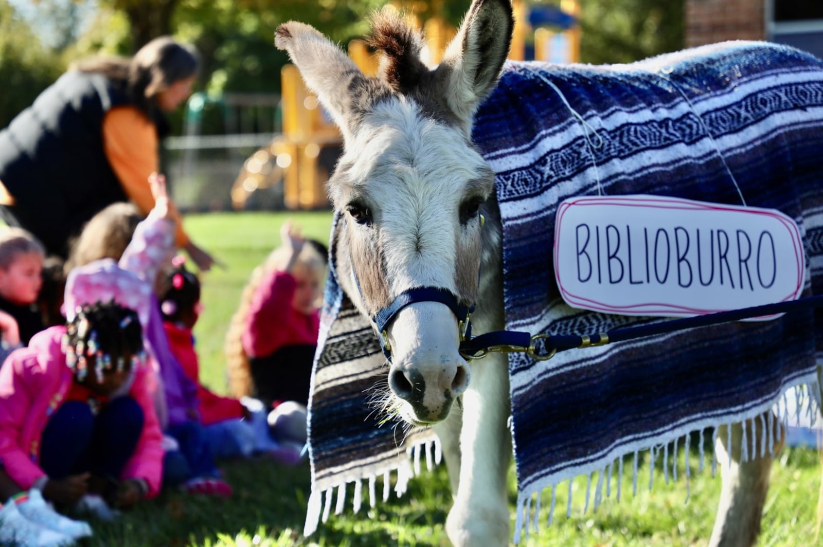 First grade students at Kenwood Elementary School were visited by a Biblioburro the donkey as part of a language arts lesson. Contributed