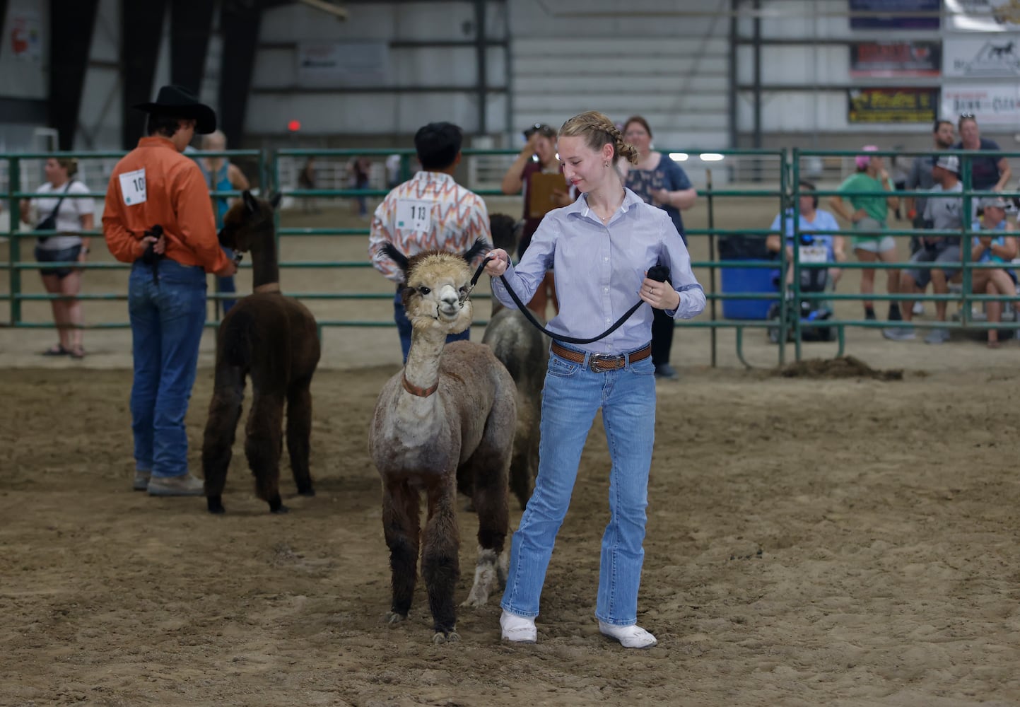 Showman of Showmen" Contest 