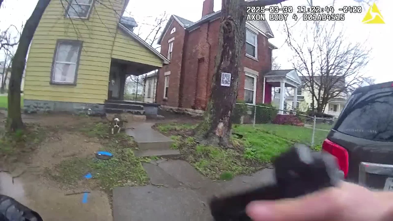 In March, Dayton police shot and killed a loose dog that charged an officer responding to a report of a 22-year-old man bit by a dog. Still from video contributed by Dayton Police Department.