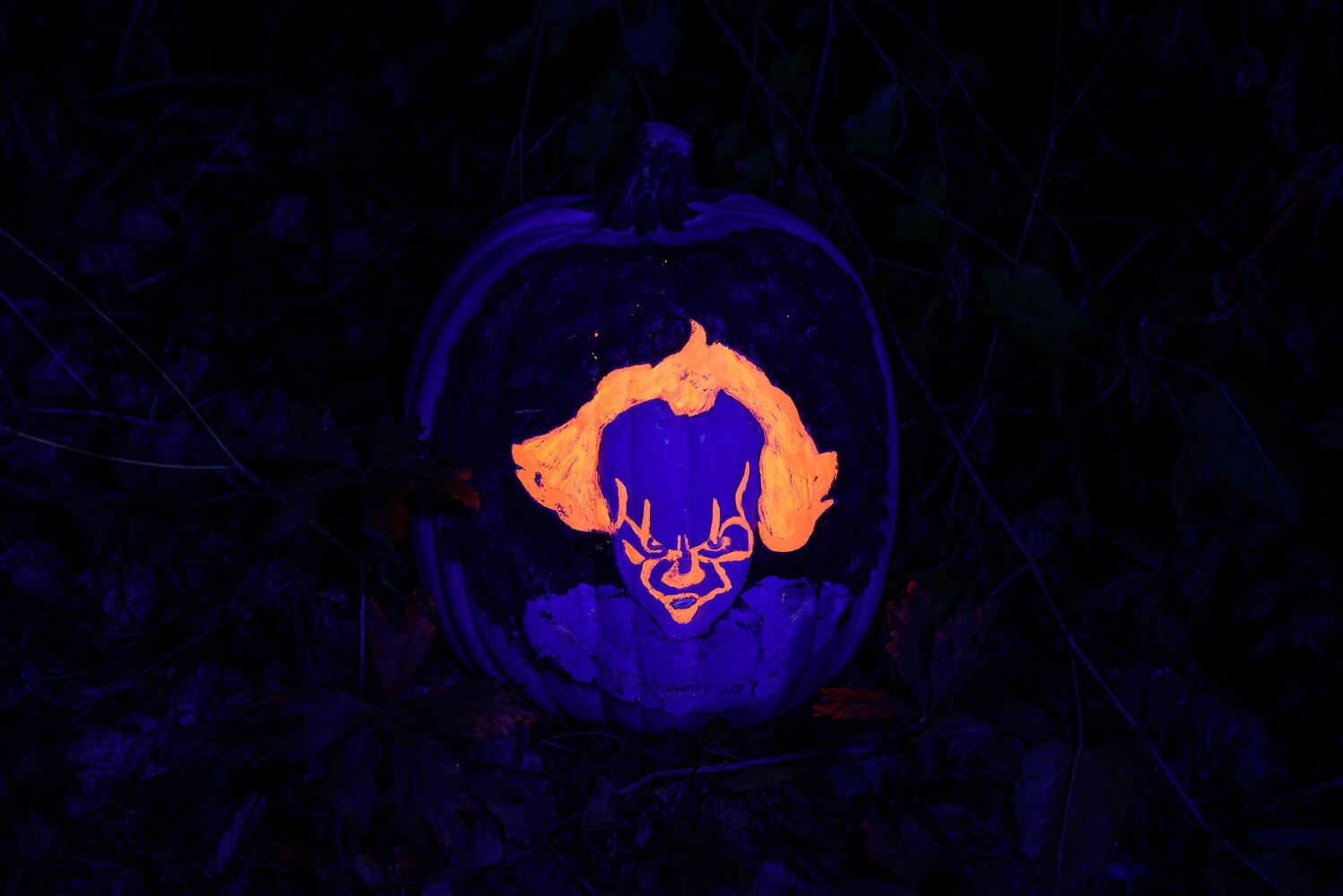 PHOTOS: 2024 Pumpkin Glow at Caesar Ford Park