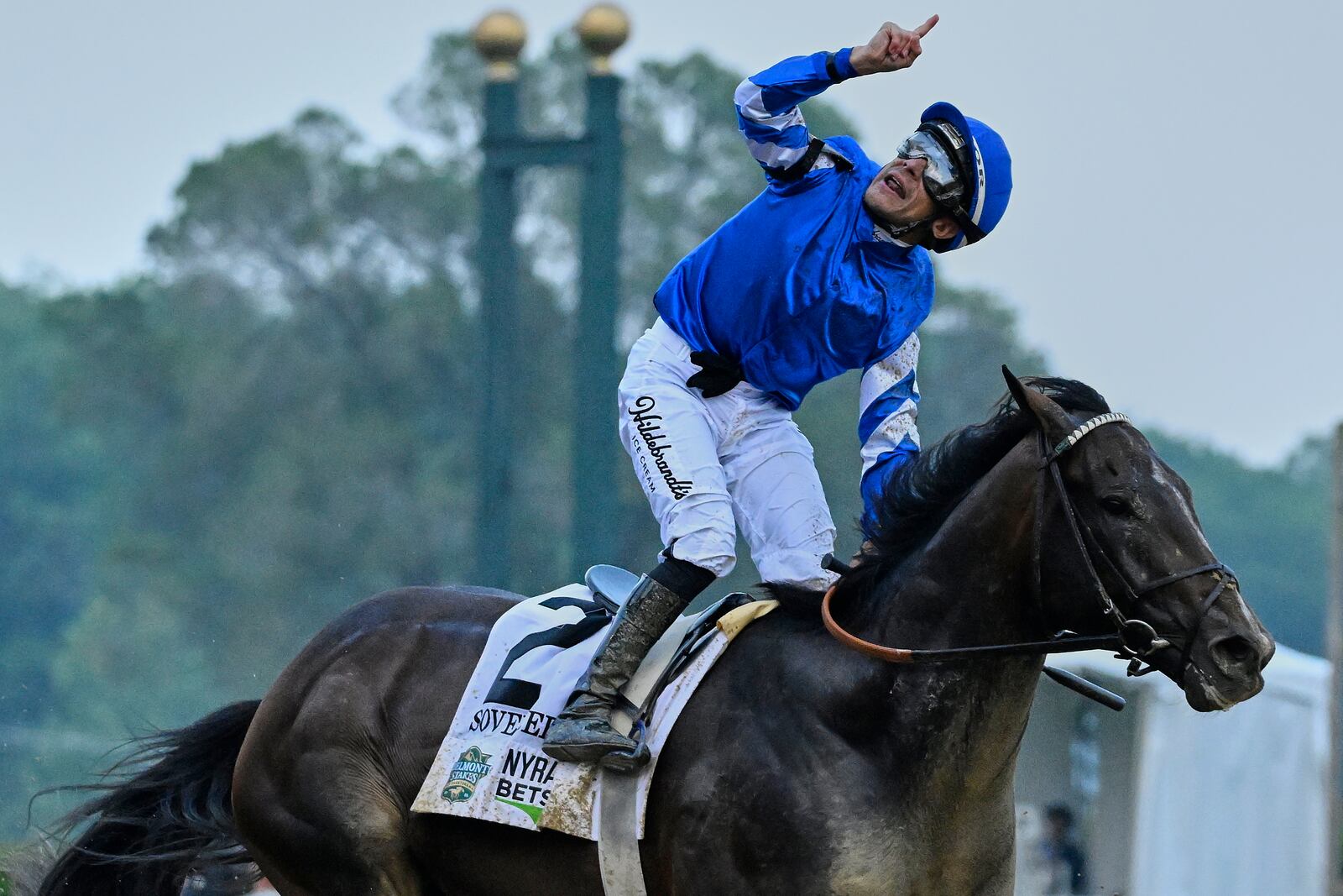 Jockey Junior Alvarado reacts aboard Sovereignty (2), after crossing the finish line to win the 157th running of the Belmont Stakes horse race, Saturday, June 7, 2025, in Saratoga Springs, N.Y. (AP Photo/Jessica Hill)
