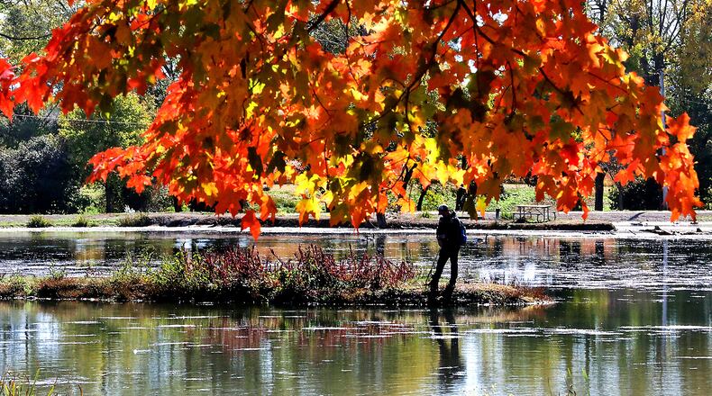 The fall leaves, backlit by the afternoon sun, glow red and yellow while a man in the background tries the fishing at Old Reid Park Tuesday. BILL LACKEY/STAFF