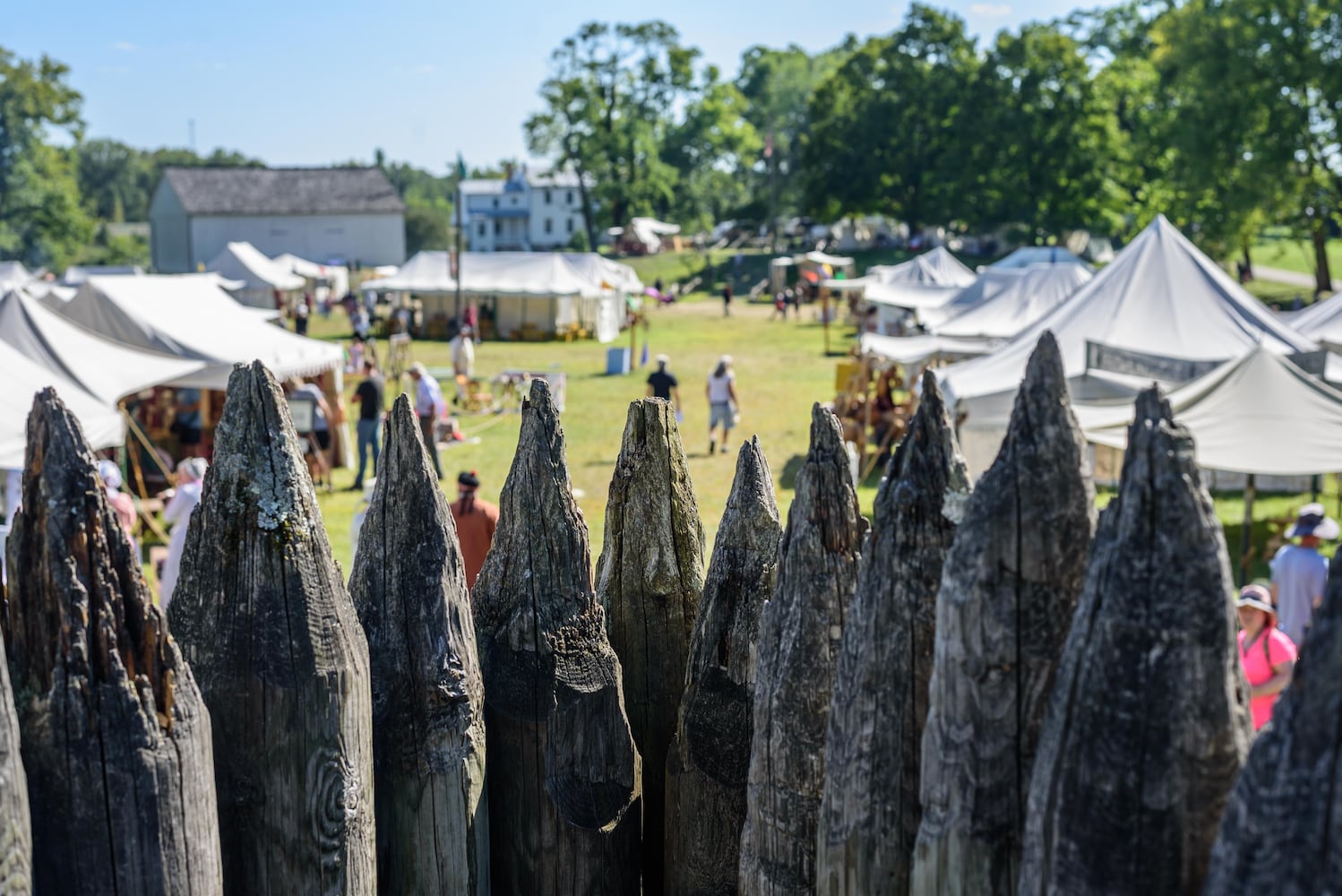 PHOTOS: 2025 Fair at New Boston in Springfield