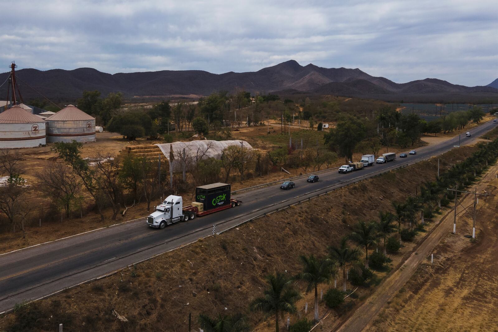 Ostok Sanctuary staff members transport animals in trucks to Mazatlan, Sinaloa state, from the refuge in the outskirts of Culiacan, Sinaloa state, Mexico, Tuesday, May 20, 2025. (AP Photo/Felix Marquez)