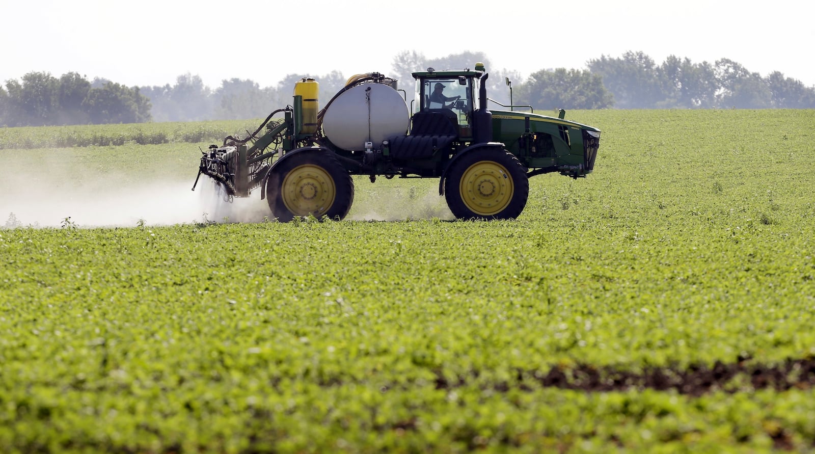 FILE - A soybean field is sprayed in Iowa, July 11, 2013. (AP Photo/Charlie Neibergall, File)