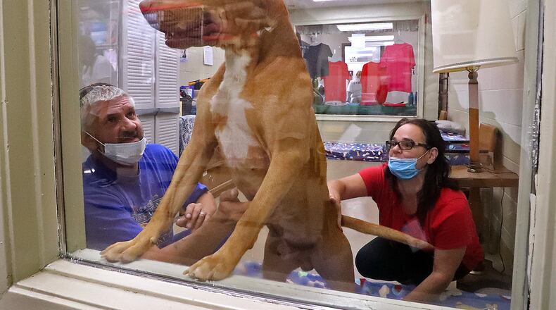 Frank and Debra Bonerigo get to know a dog at the Clark County Dog Shelter in August. BILL LACKEY/STAFF