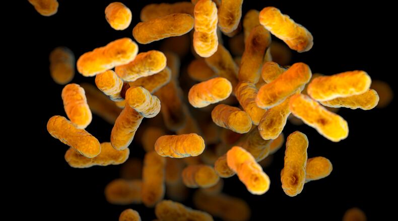 This 2016 illustration provided by the Centers for Disease Control and Prevention depicts Bordetella pertussis bacteria, which causes whooping cough, based on electron microscope imagery. (Meredith Newlove/CDC via AP)