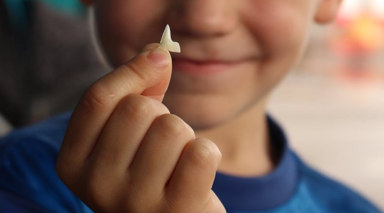 Aiden Dexter proudly displays the shark tooth he got for assisting Philip Peters.