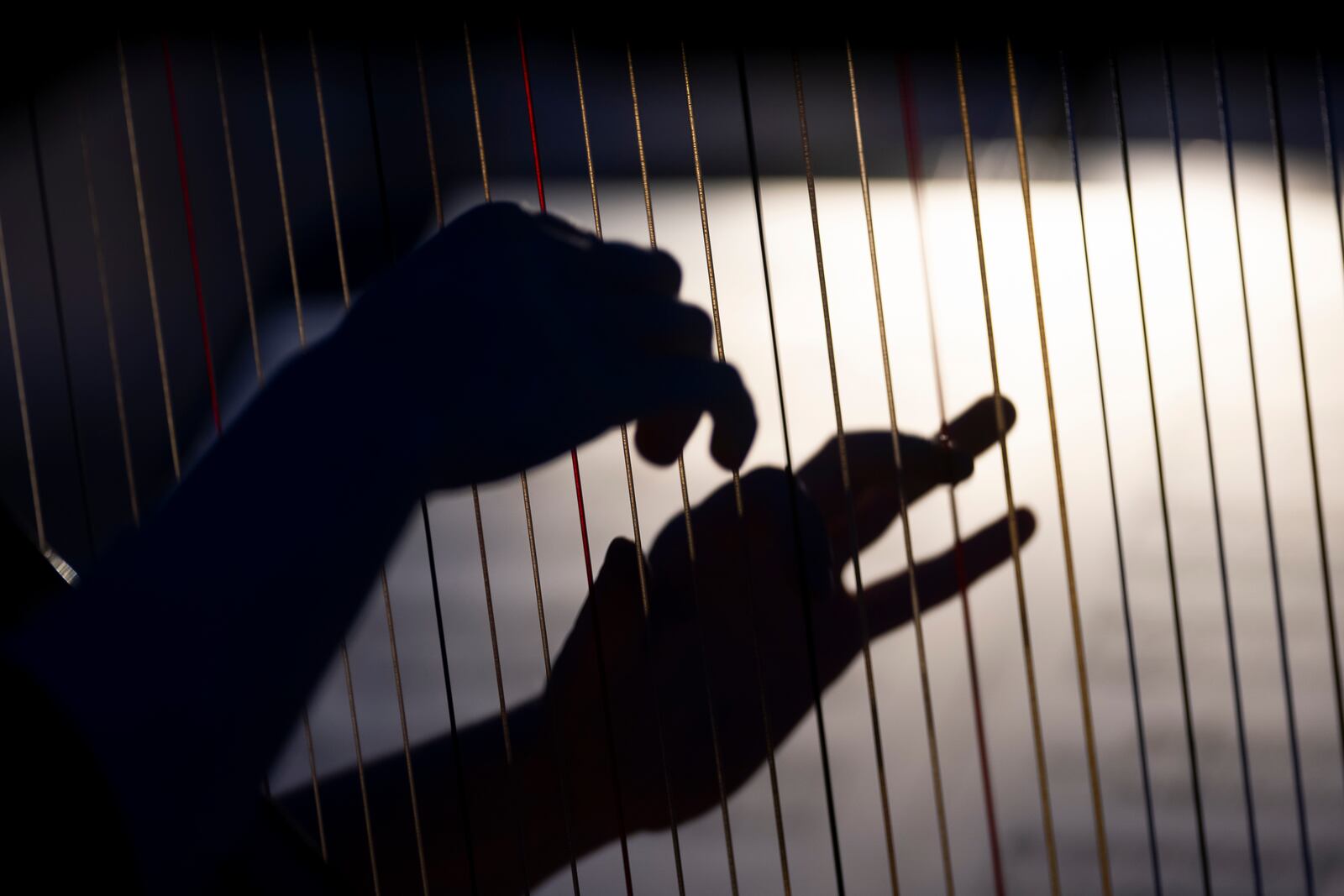 A member of the Vienna Symphony Orchestra plays on harp during "The Blue Danube" waltz as it is transmitted into deep space towards Voyager 1. in Vienna, Austria, on Saturday, May 31, 2025. (AP Photo/Denes Erdos)