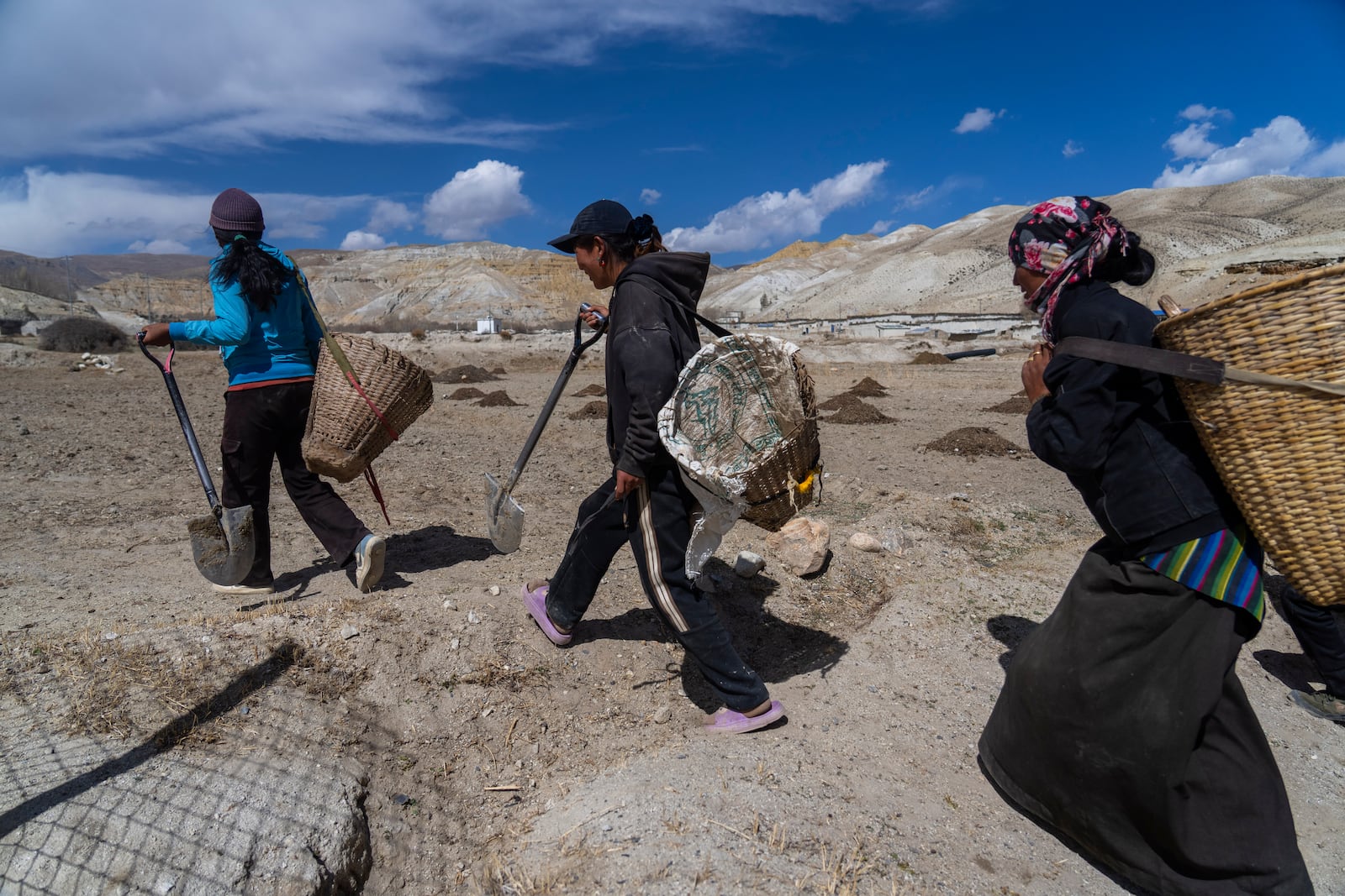 Villagers walk towards a field to plant apple trees in the newly relocated settlement of the abandoned Samjung village in the Mustang region, 462 kilometers (288 miles) west of Kathmandu, Nepal, Friday, April 18, 2025. (AP Photo/Niranjan Shrestha)
