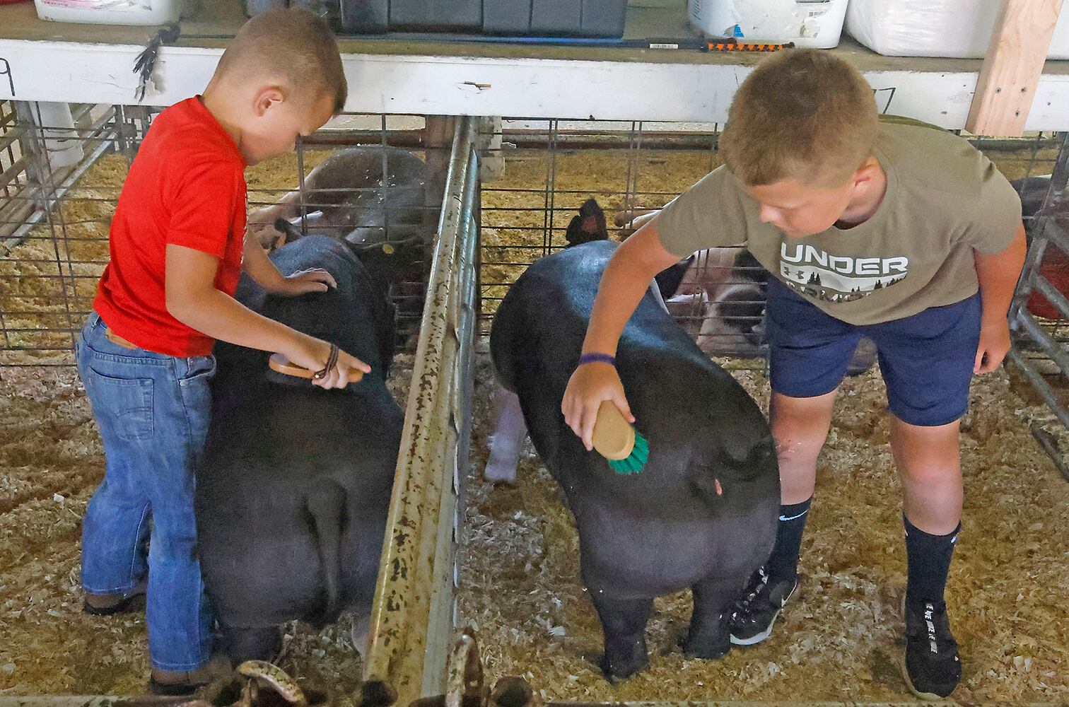 Clark County Fair SNS
