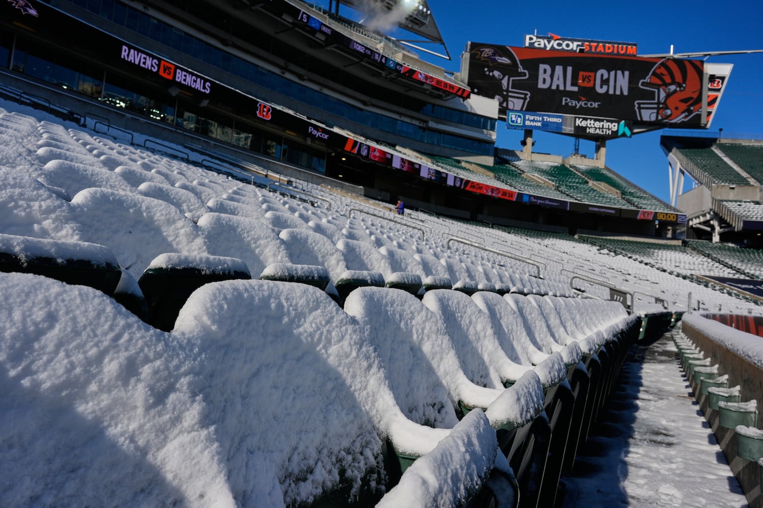 Ravens Bengals Football