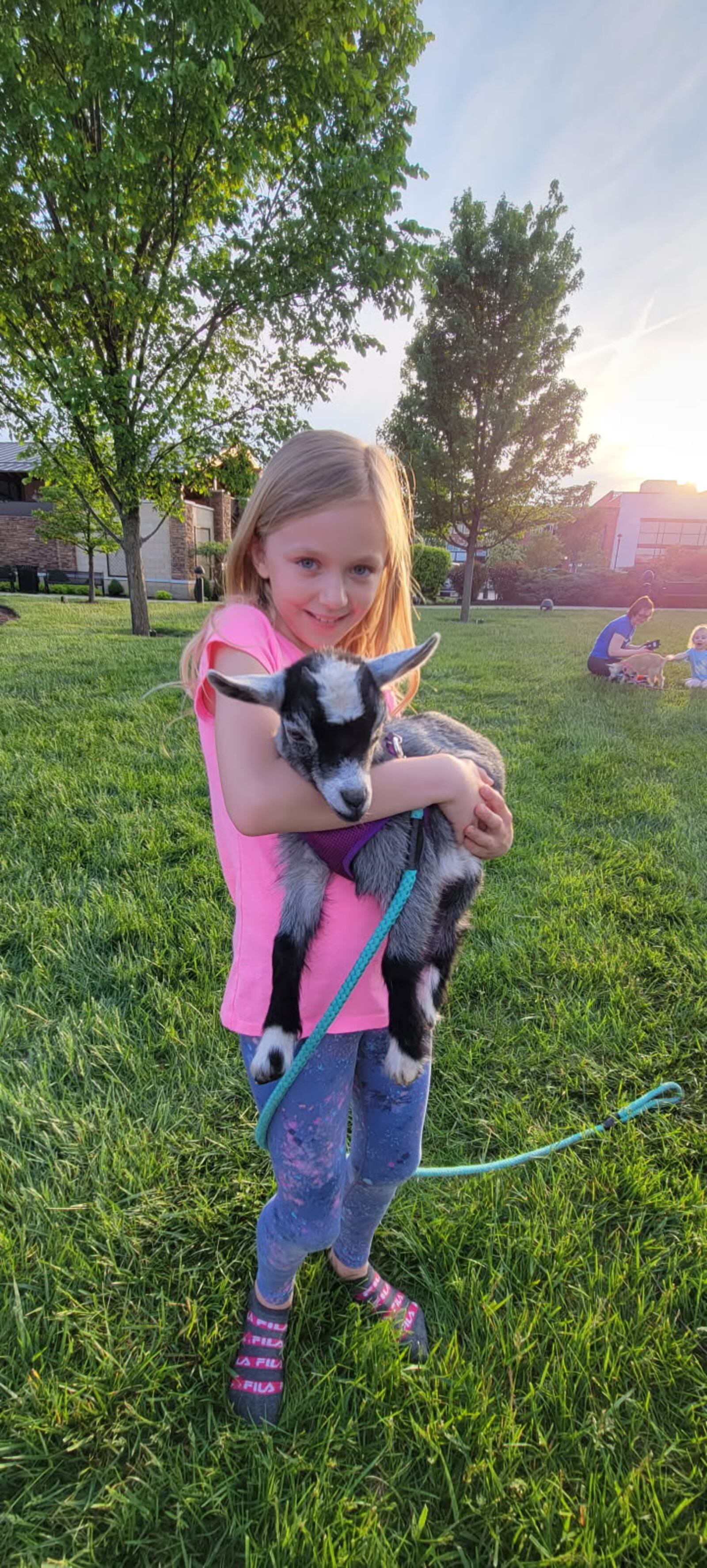 GoatCountry LLC is bringing goat yoga to The Greene and Austin Landing this summer - CONTRIBUTED