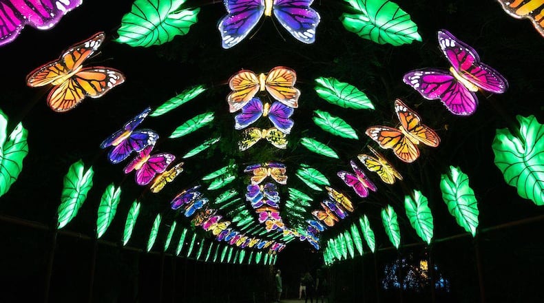 The Cleveland Metropark Zoo will be putting on a socially distanced version of its popular Asian Lantern Festival until Sept. 20.