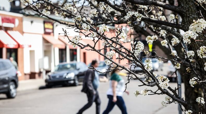 Allergy season has started in the region. On Jasper Street two pedestrians walk under blooming trees. JIM NOELKER/STAFF