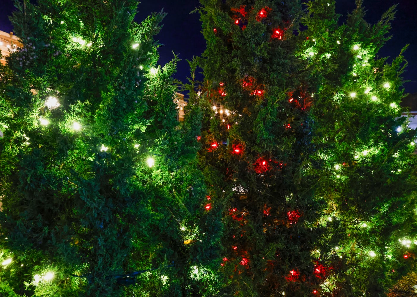 Christmas decorations around Springfield