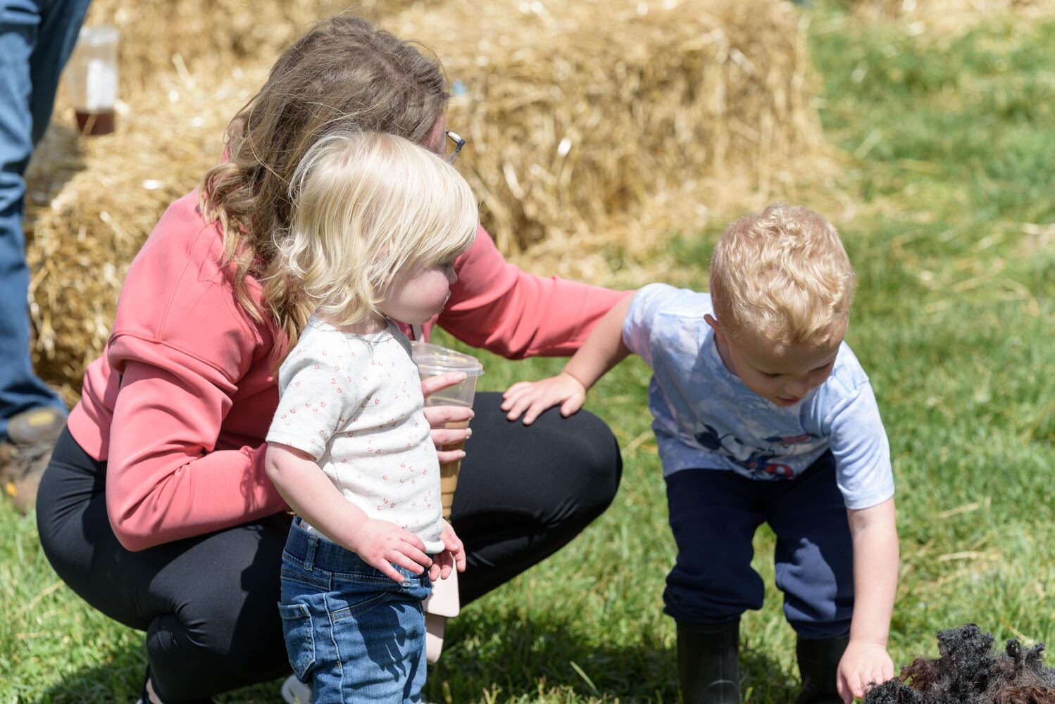 PHOTOS: Wooly Wonders - Spring on the Farm Family Event at Learning Tree Farm