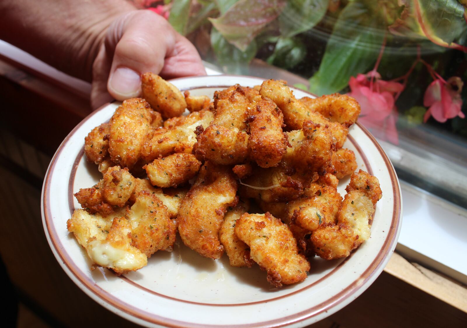 Young's Jersey Dairy now sells cheese curds from its food truck.