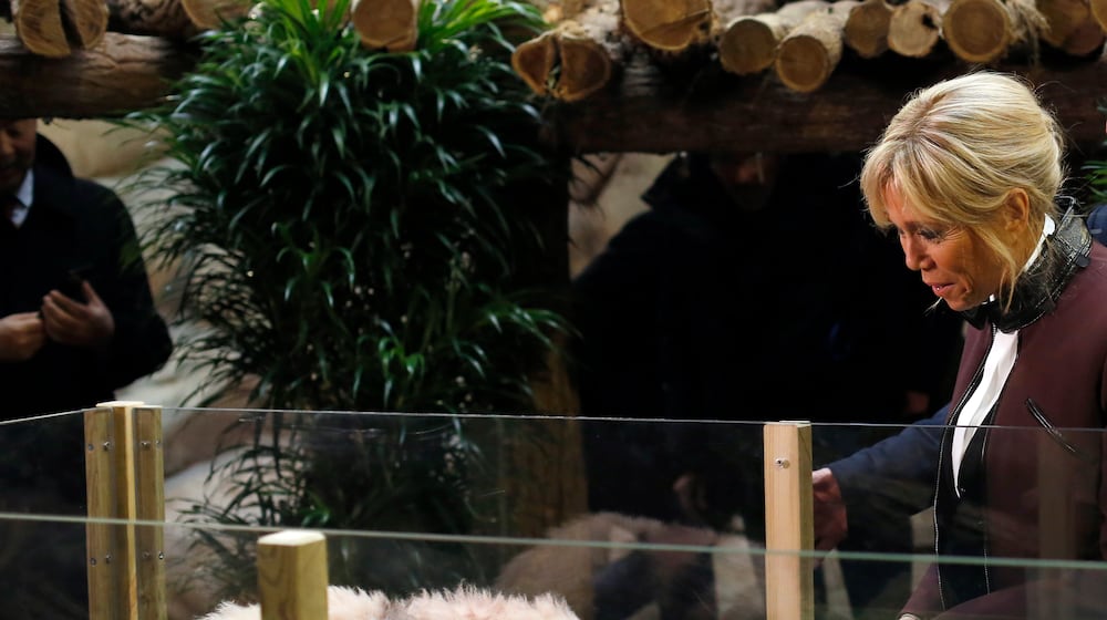 FILE - French First lady Brigitte Macron attends a naming ceremony of the panda born at the Beauval Zoo, in Saint-Aignan-sur-Cher, France, on Dec. 4, 2017. (AP Photo/Thibault Camus, Pool, File)