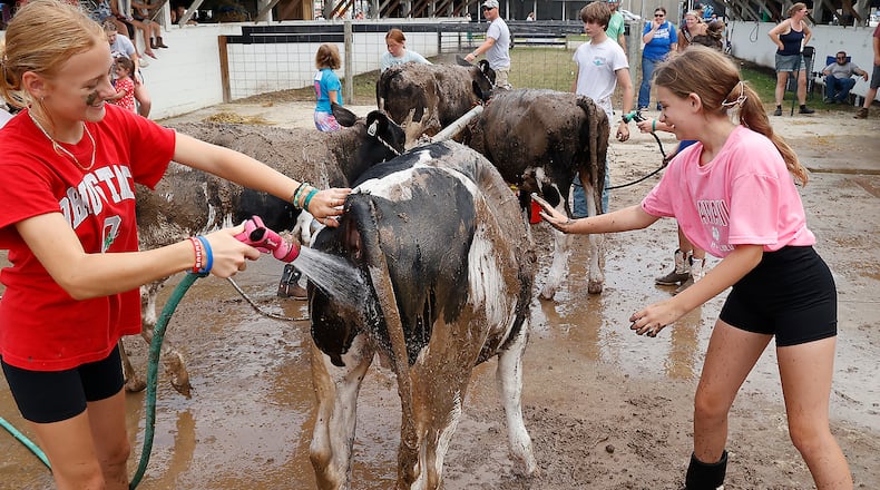Adi Balzer, left, and Harper Thompson clean the mud off their calf during the Junior Fair Dairy Grooming Contest on Thursday, July 27, 2023 at the Clark County Fair. BILL LACKEY/STAFF