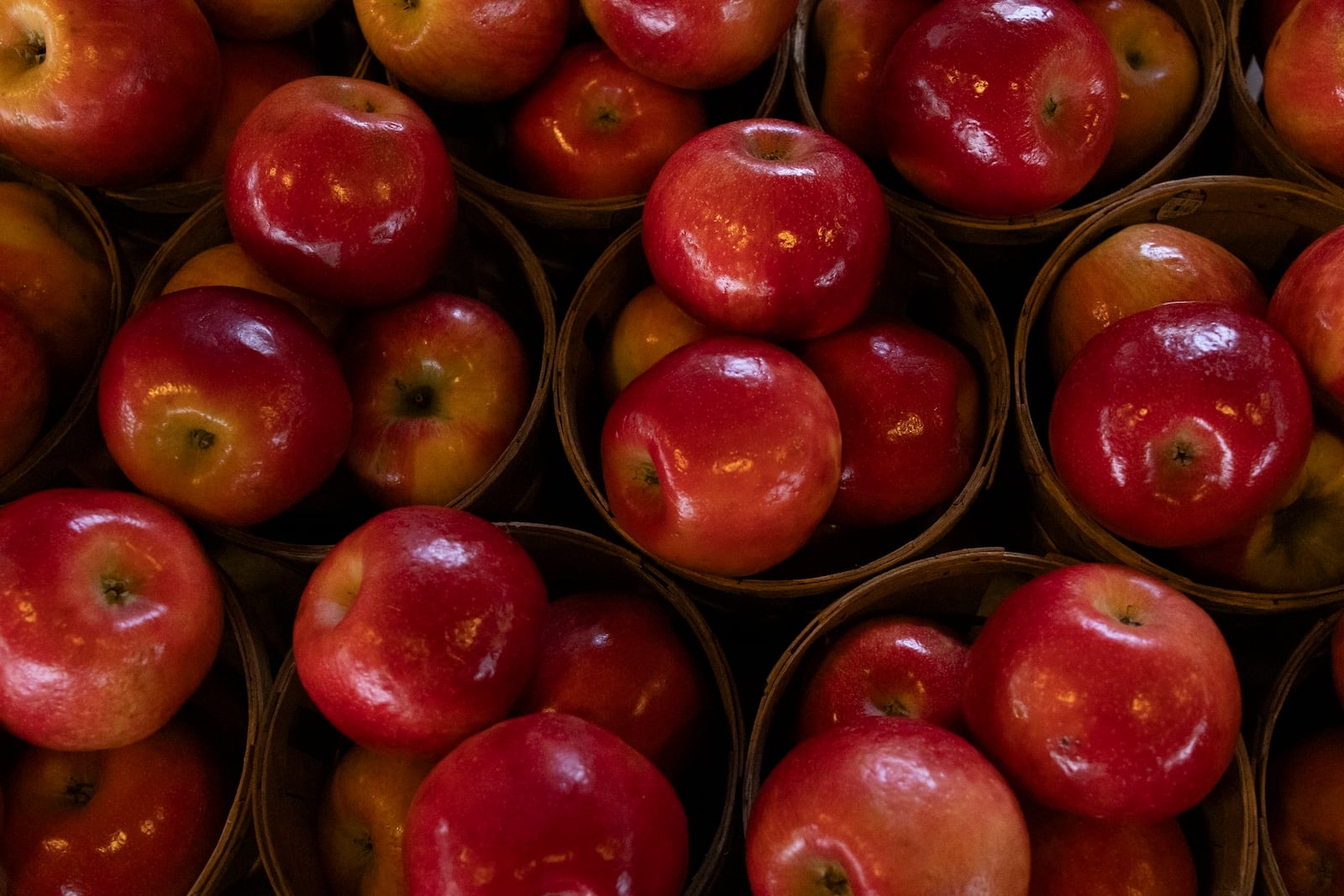 Baskets of apples are displayed across vendor tables at the Rochester Public Market on Friday, March 21, 2025, in Rochester, N.Y. (Caitlyn Daproza via AP)