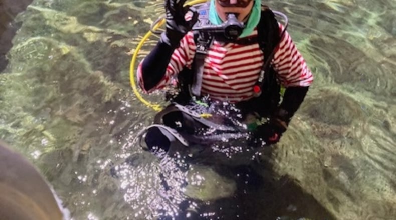 In elfin costume and diving gear, Steve Schumaker gets ready to head to the bottom of the 385,000-gallon shark tank at the Newport Aquarium. (STAFFORD)
