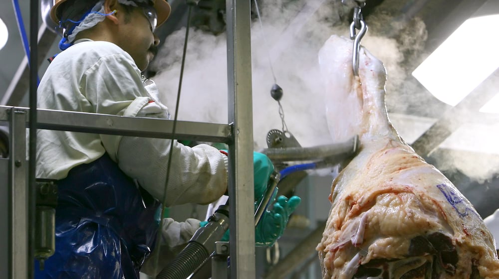 A worker on the line uses a steam vacuum on any incision areas on the carcass during a tour of the Tyson meat packing plant in Lexington, Neb., Wednesday, Nov. 14, 2007. (Kent Sievers/Omaha World-Herald via AP)