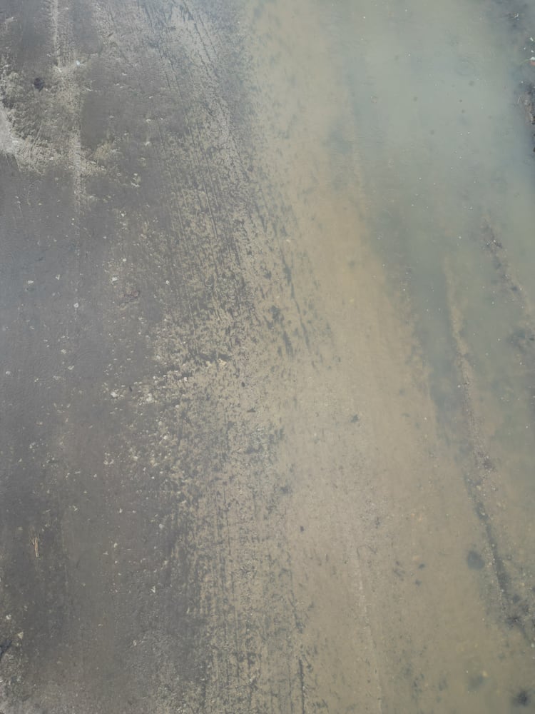 Springfield Flooding